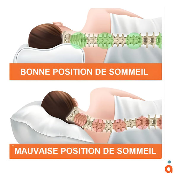 Oreiller Orthopédique à Mémoire de Forme – Soutien Cervical pour un Sommeil Réparateur - WelneZzZ®